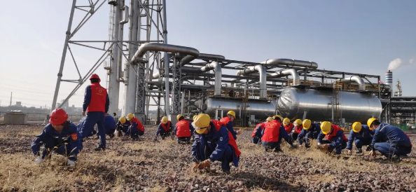 131741825832112985.png image.png