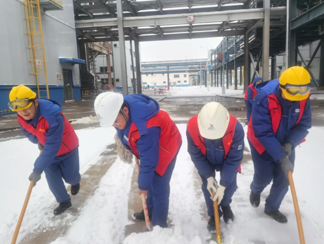 161765848417115164.png image.png